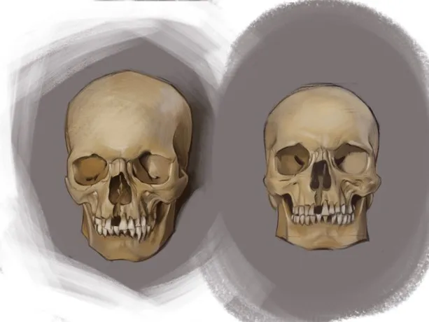 Skull